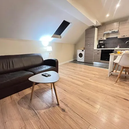 Danton Confortable Chaleureux Proche Centre-ville アパート *