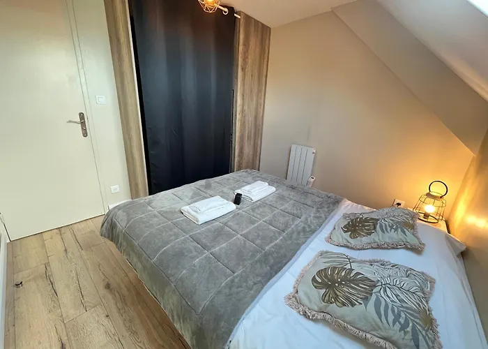 Danton Confortable Chaleureux Proche Centre-ville *