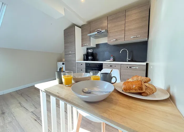 Danton Confortable Chaleureux Proche Centre-ville *