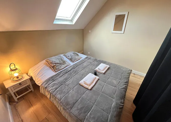 Danton Confortable Chaleureux Proche Centre-ville Apartment *